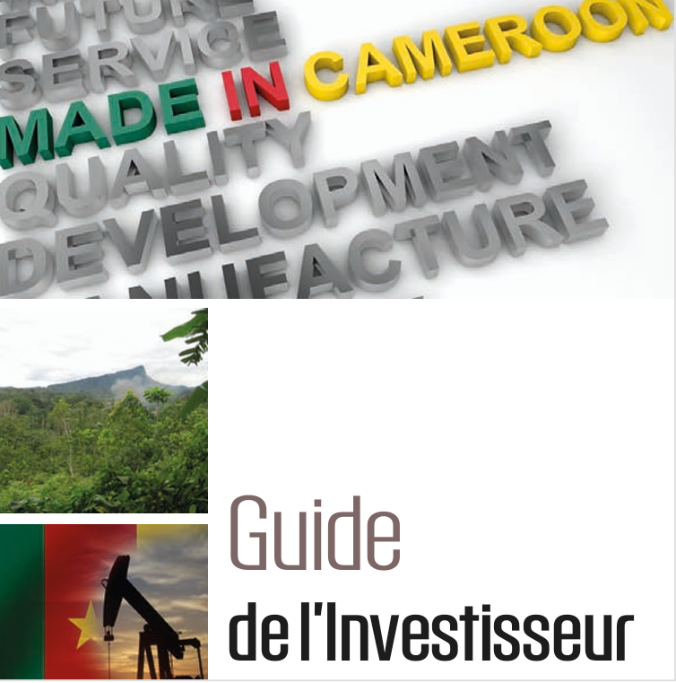 Guide de l’Investisseur
